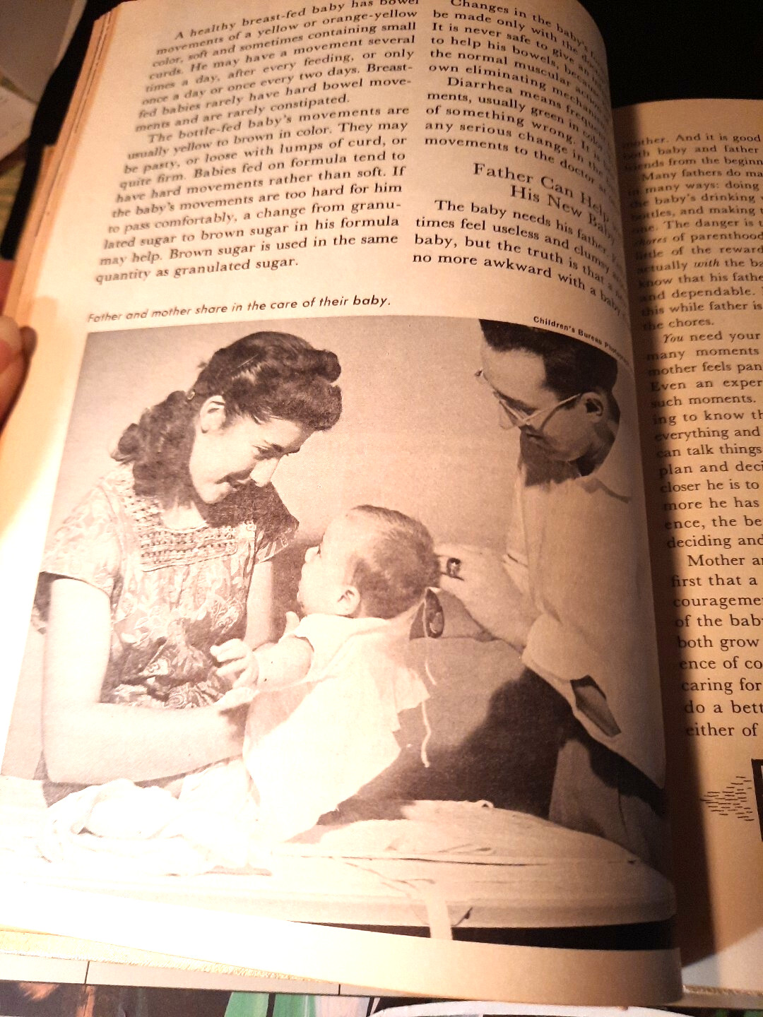 The Bookshelf for Boys and Girls 1961 Parent’s Guide & Index University Society