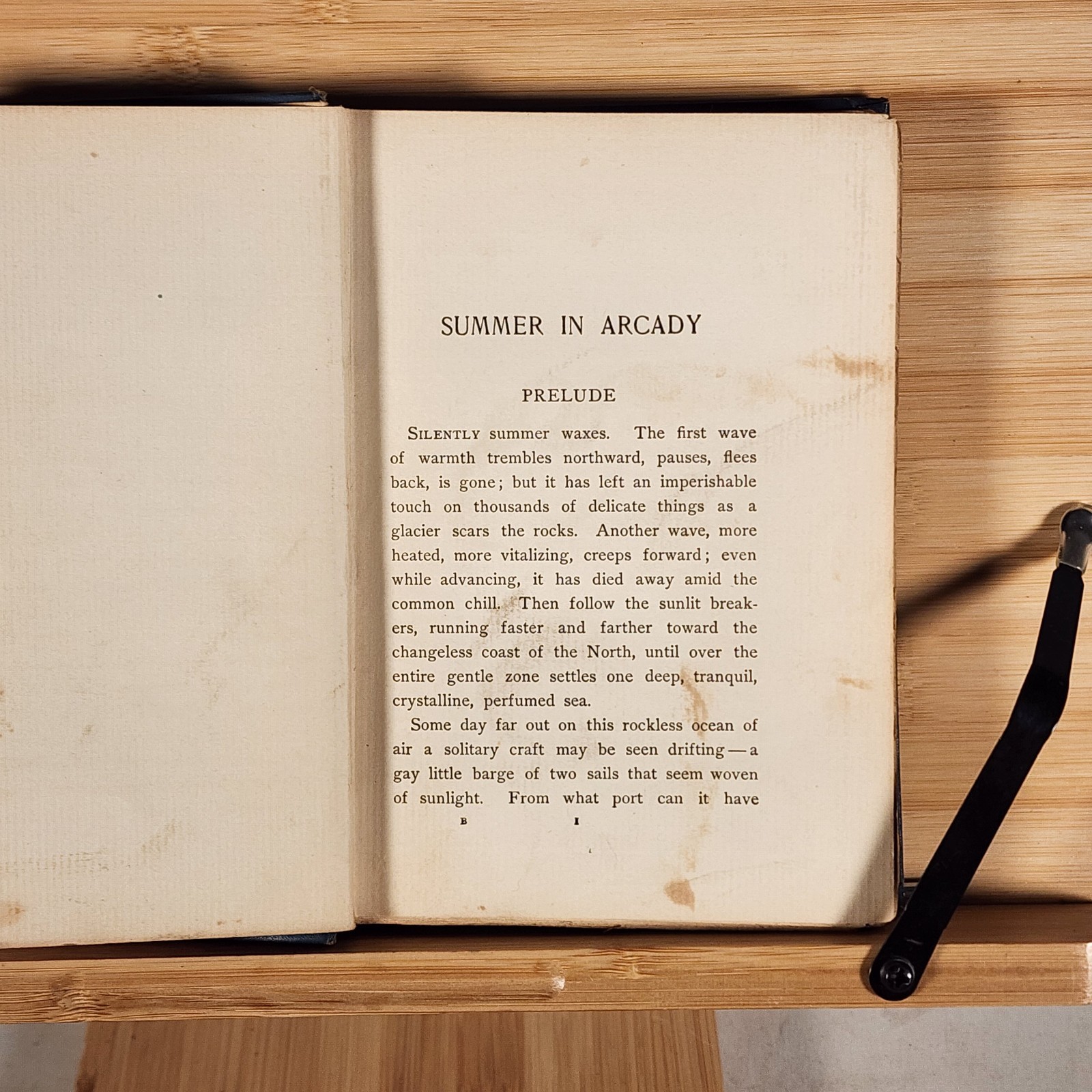 Summer In Arcady, A Tale Of Nature. James Lane Allen. Antique 1896. 1st Edition