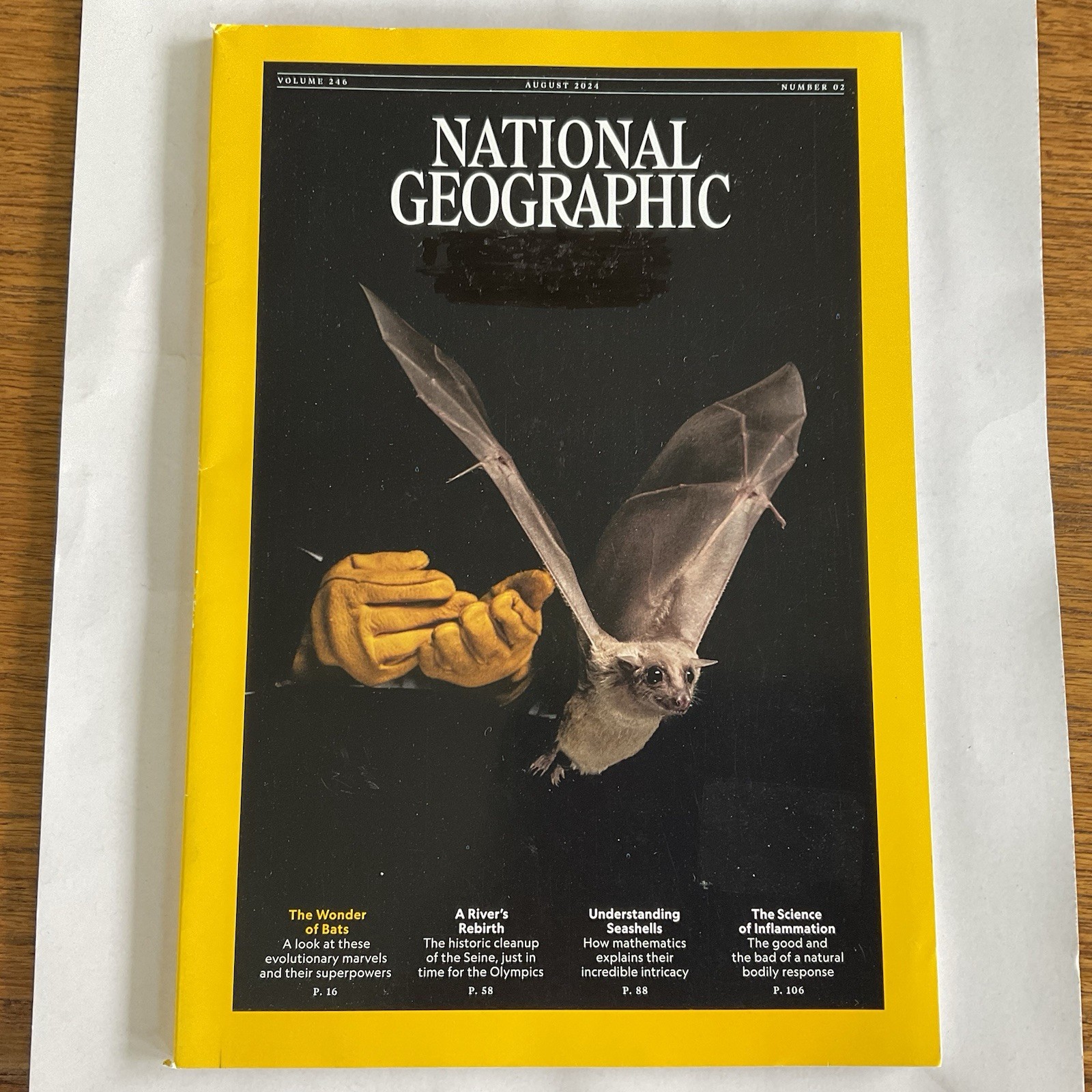 National Geographic Magazine~2024 August~bats~Seine River~seashells~inflammation