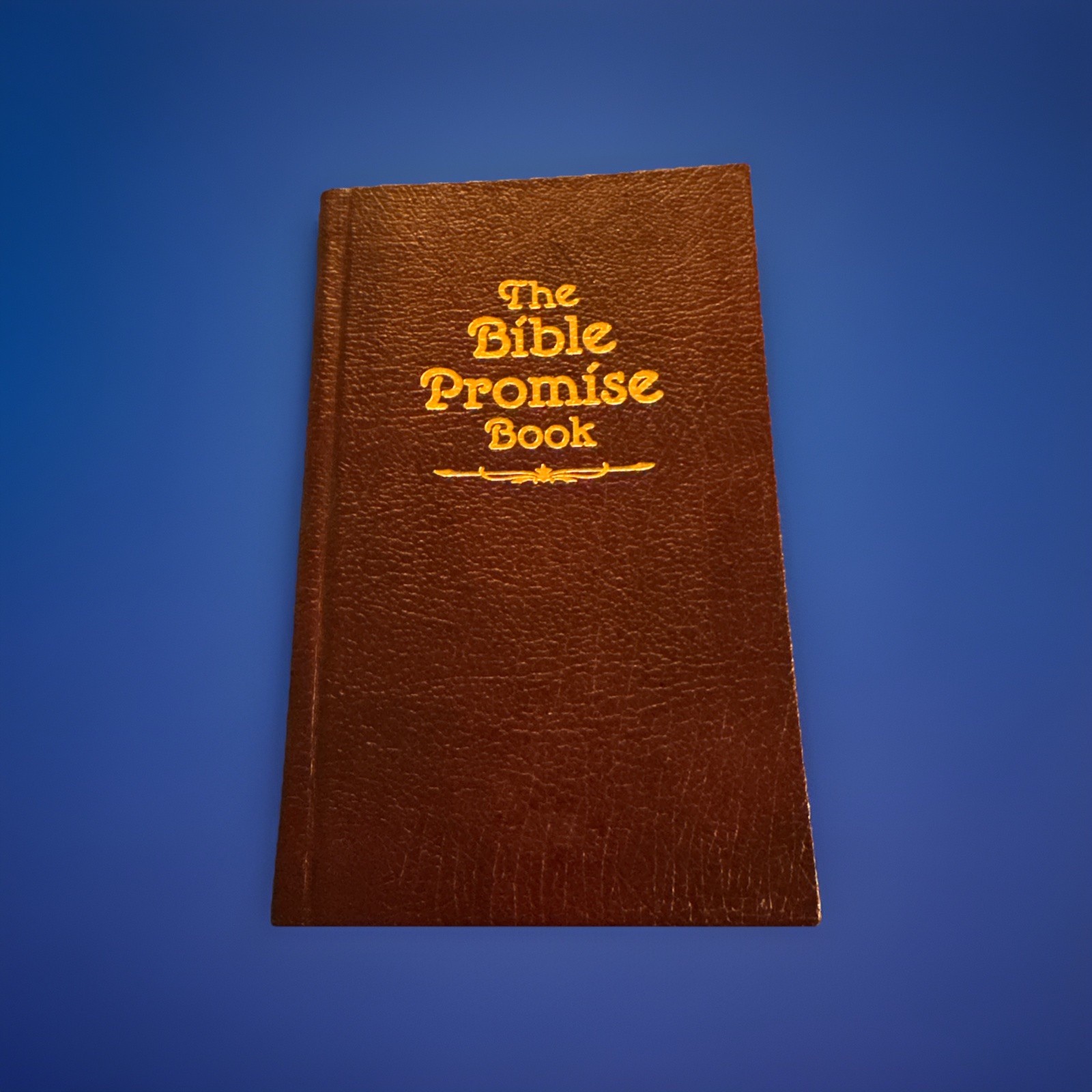 The Bible Promise Book Inspirational Christian Gold Gilt Pocket Size