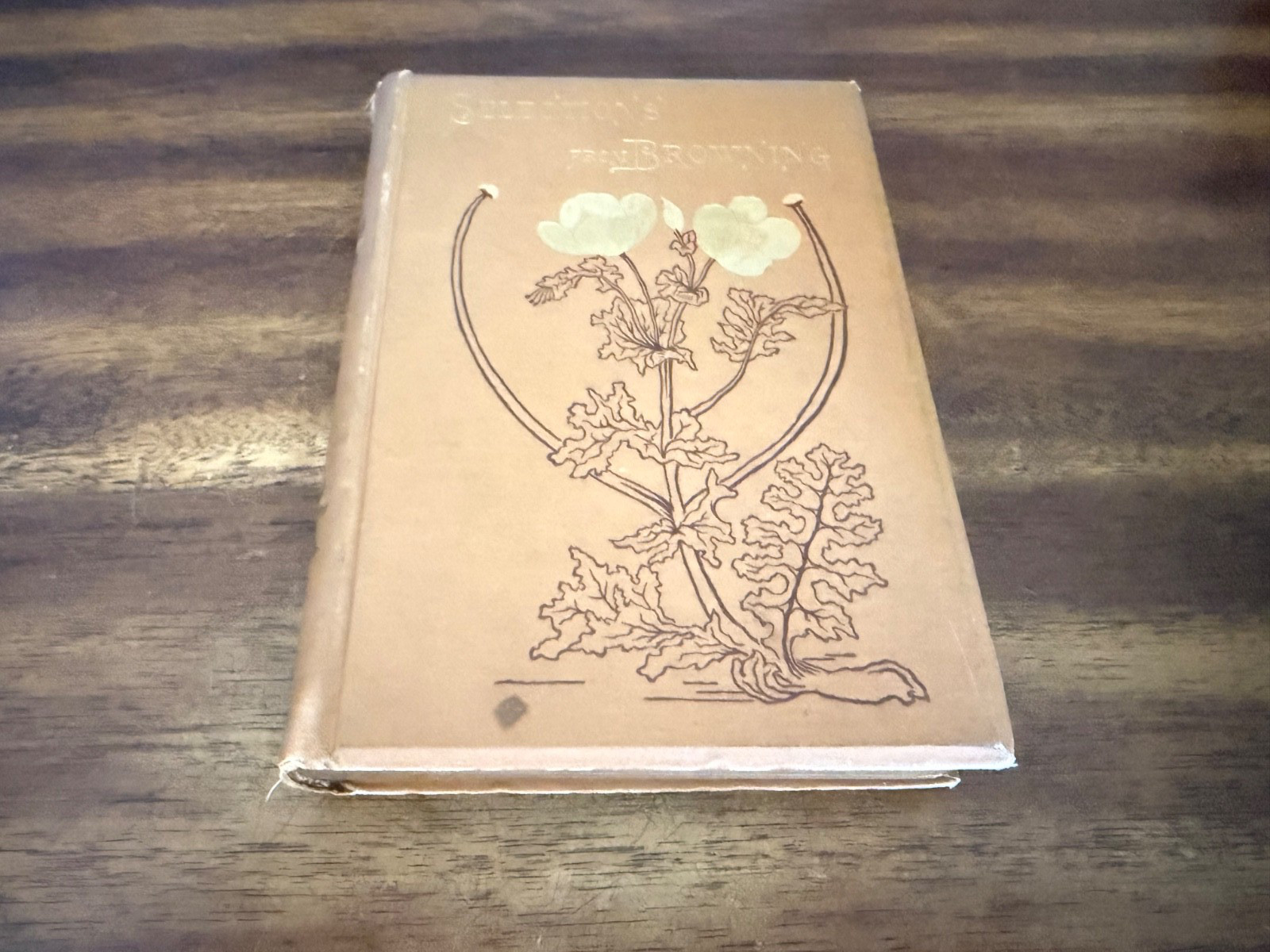 Selections from Browning by Robert Browning (1883, Vintage Hardcover)