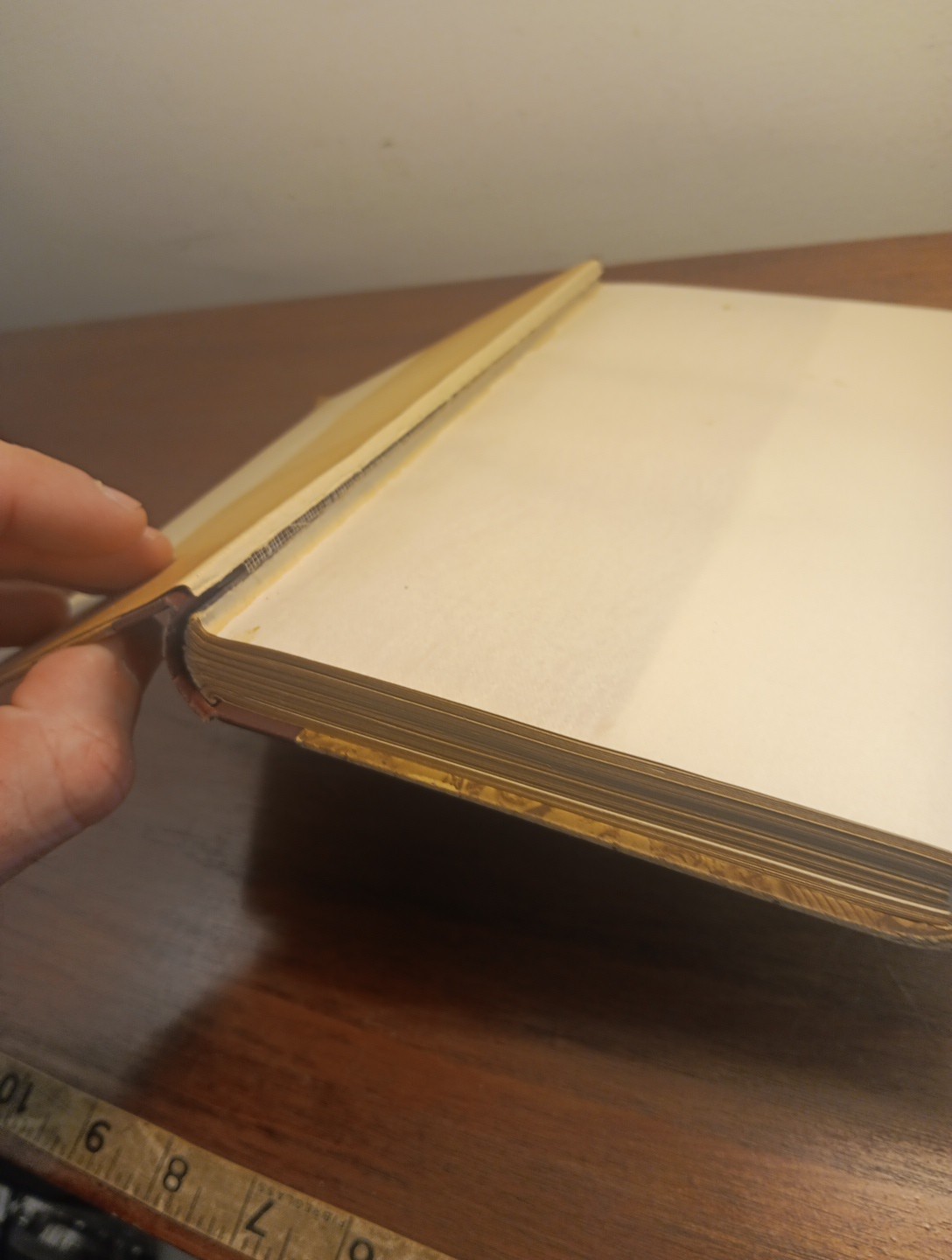 Charles B Reynolds: Old Saint Augustine, a Story of Three Centuries. HC, 1893