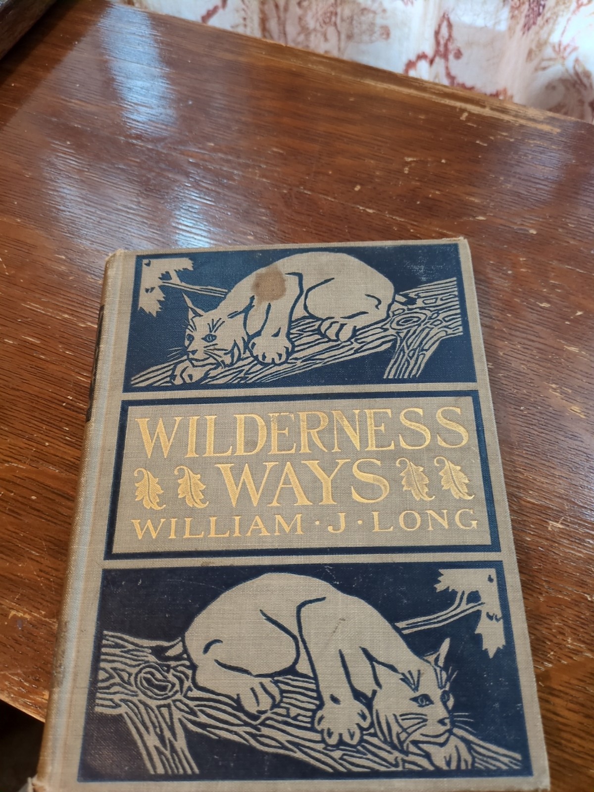 *1900* „WILDERNESS WAYS“ Good Condition By William J Long HC (07)