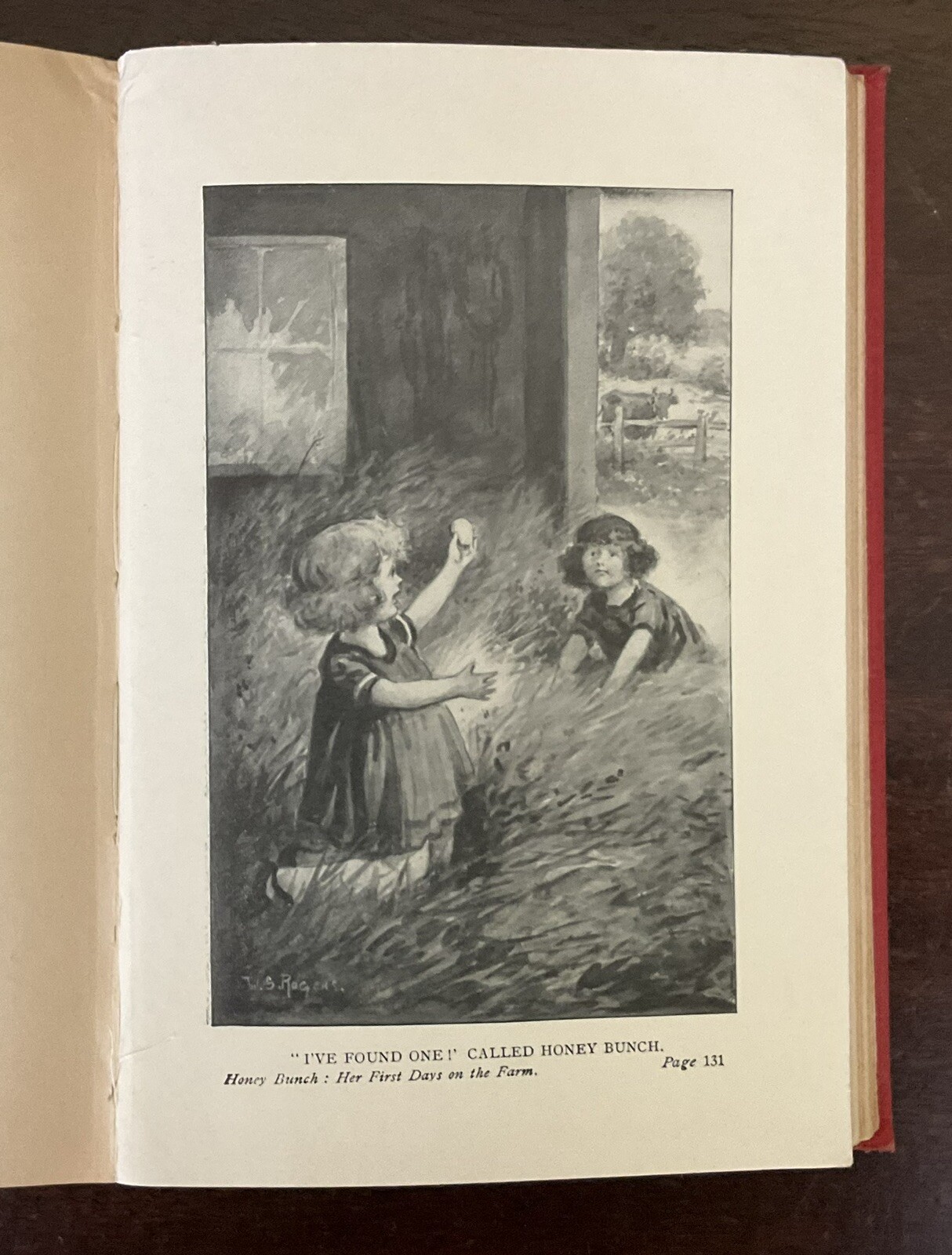 Honey Bunch: Her First Days on the Farm Helen Louise Thorndyke 1923 Good-VG
