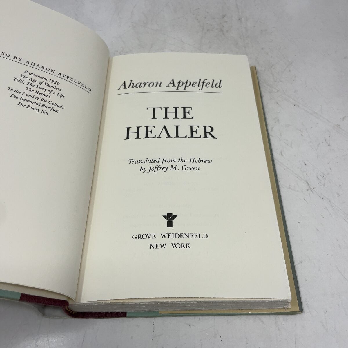 The Healer by Aharon Appelfeld HC First Edition Like New 1990