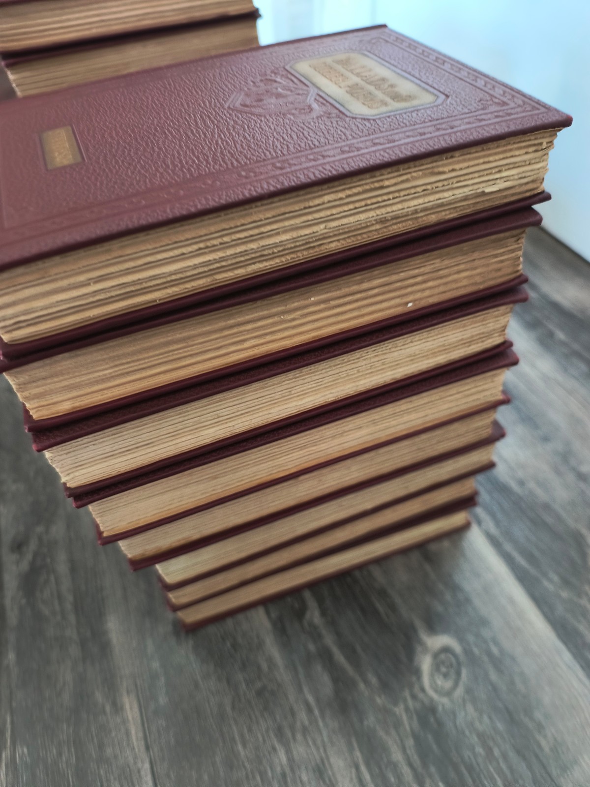 Robert Louis Stevenson 25 Volume Scribner’s 1924 Set Novels, Tales & Letters