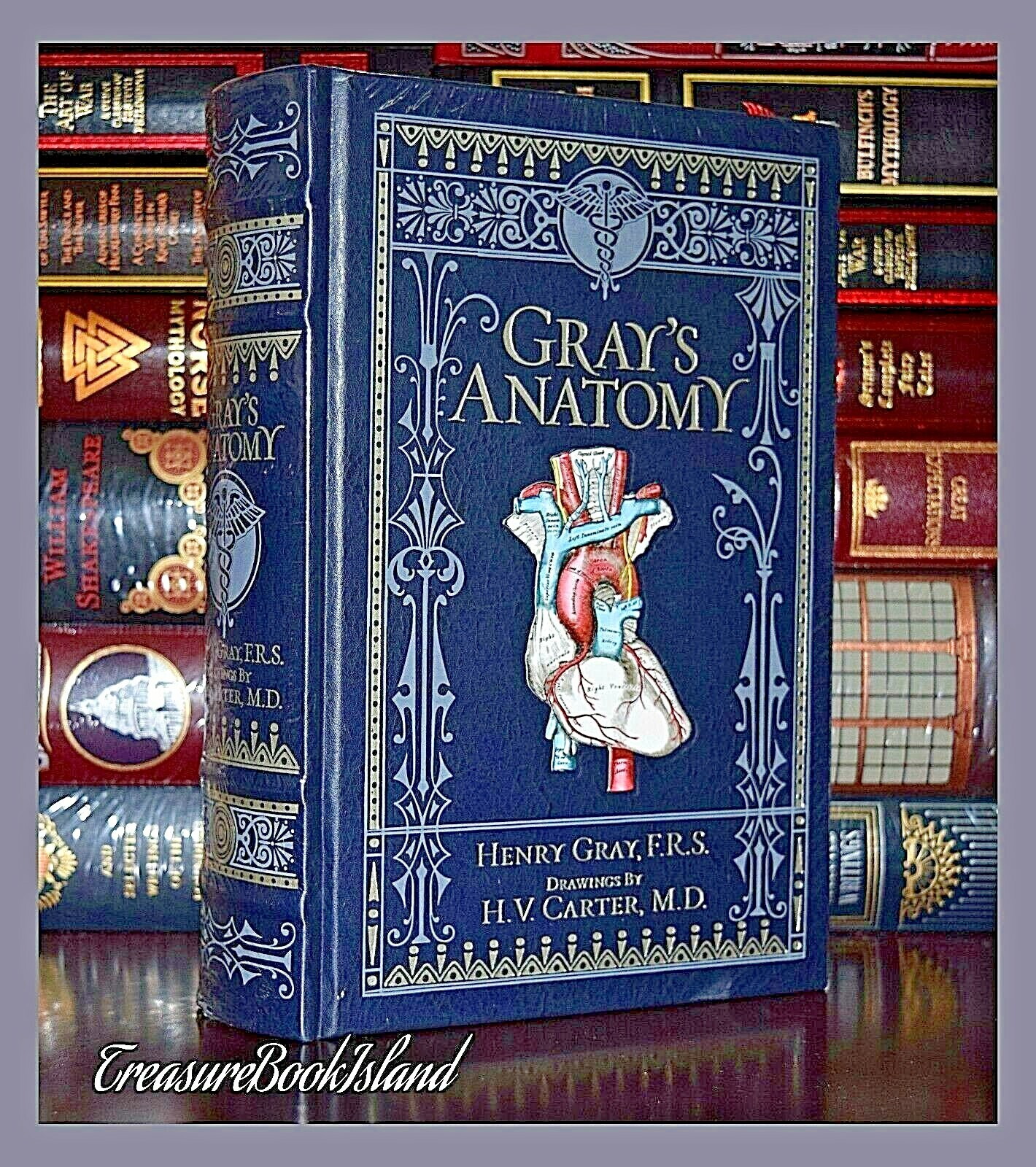 Gray’s Anatomy by Henry Gray Brand New Leather Bound Collectible Gift