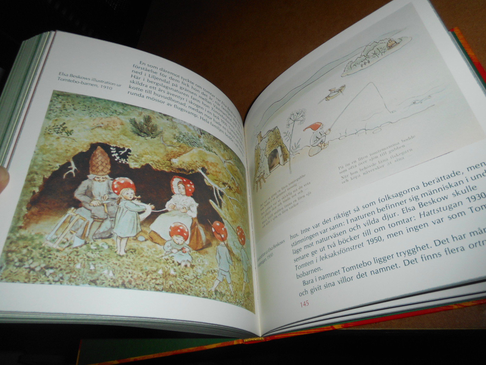 The Swedish House Gnome HB richly illustrated Excellent condition!!