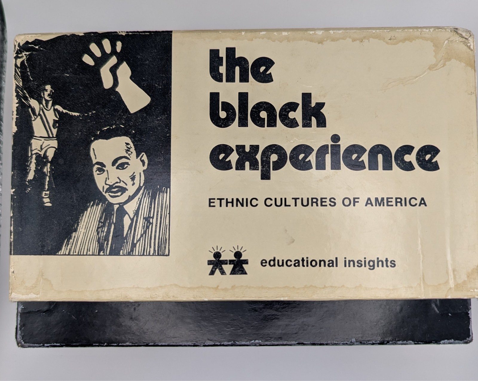 VTG 1973 The Black Experience Ethnic Cultures of America Ed. Insights No. 9165