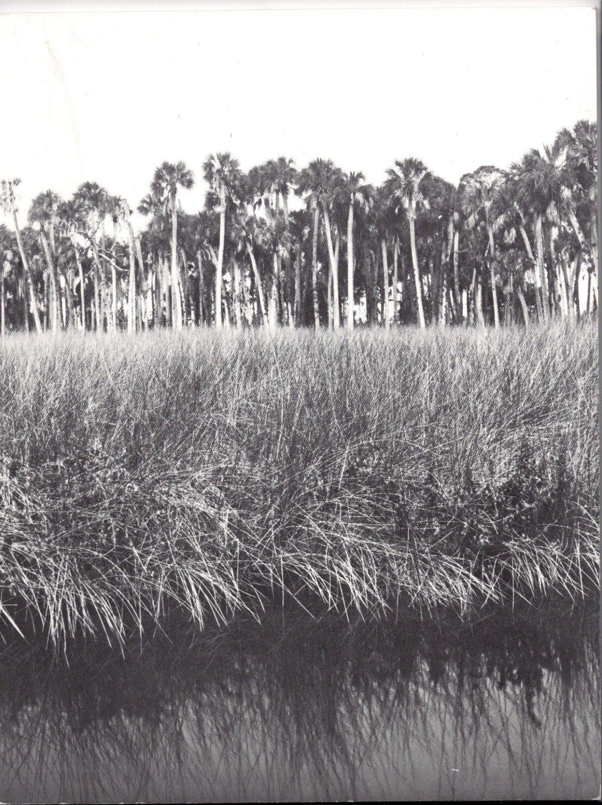 Florida Directory Photographic Artists 1980 Rare 1/700 Jerry Uelsmann Fichter