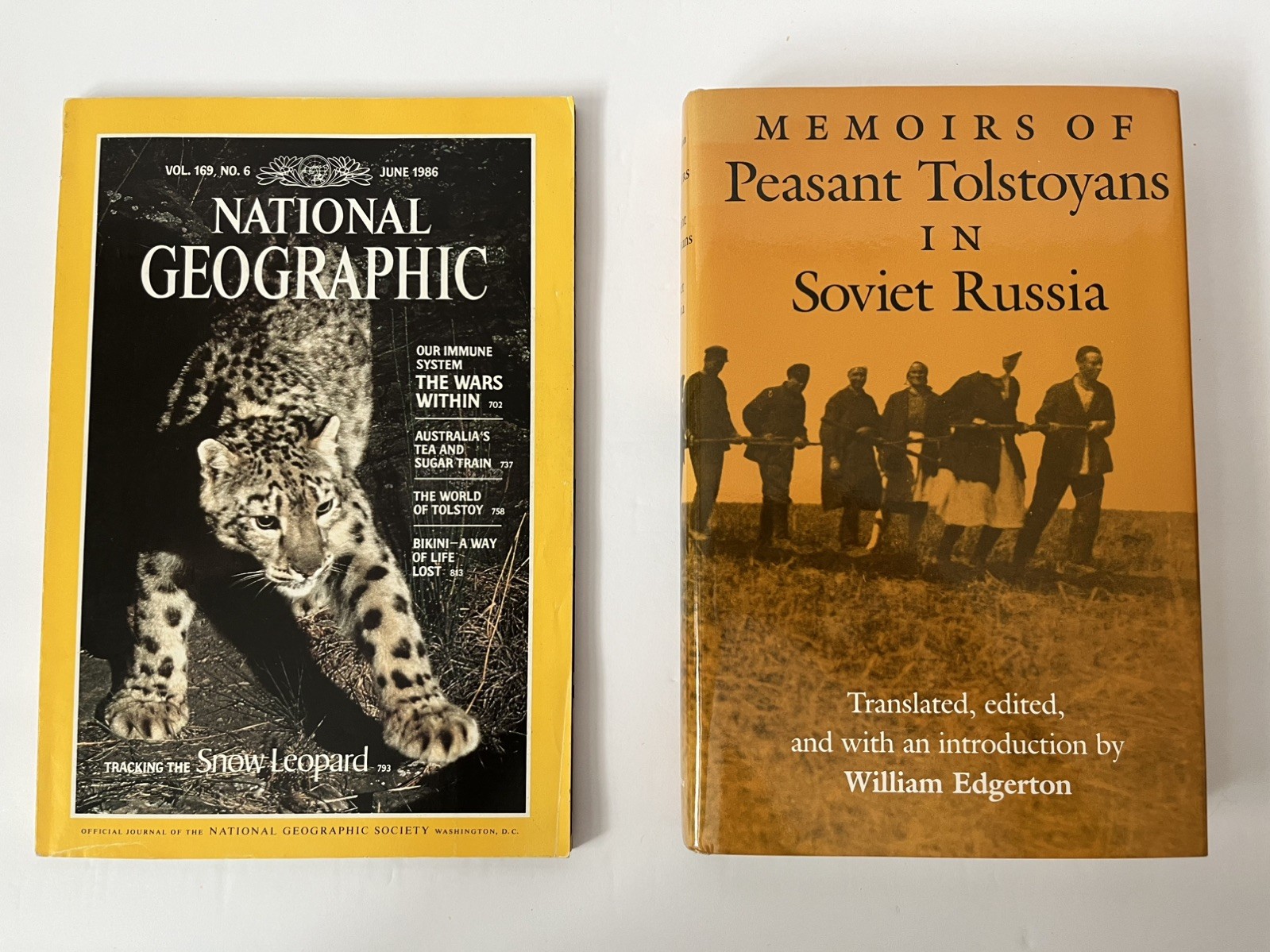 Leo Tolstoy Non-Fiction Bundle – Nonviolence, Christianity, Buddhism, Letters