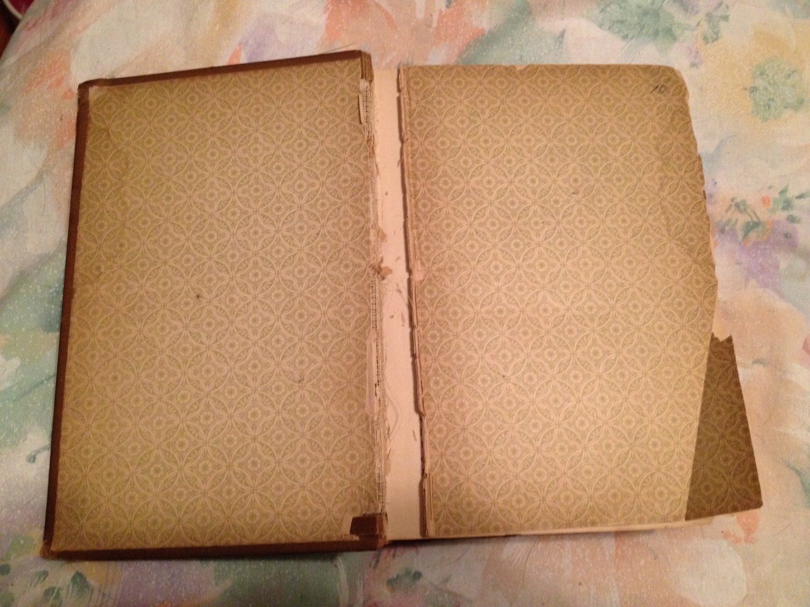 David Copperfield by Charles Dickens Antique HC John W. Lovell Co. No Date