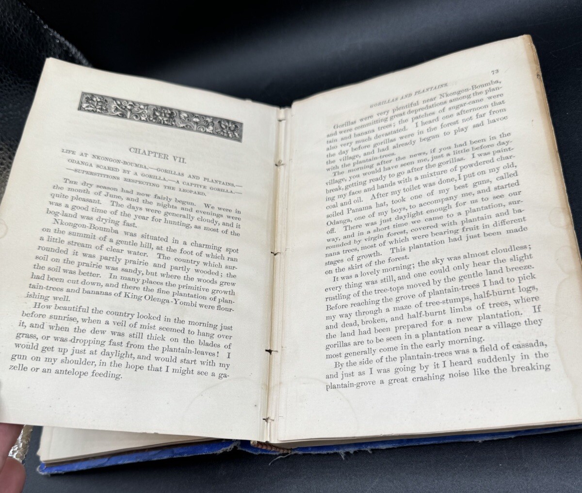 1871 The Country of the Dwarfs Pygmy, Paul Du Chaillu 1st ed. Hard Copy Book HTF