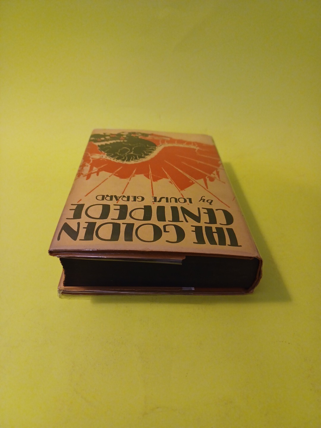 The Golden Centipede 1927 Hardcover – Louise Gerard / HGV