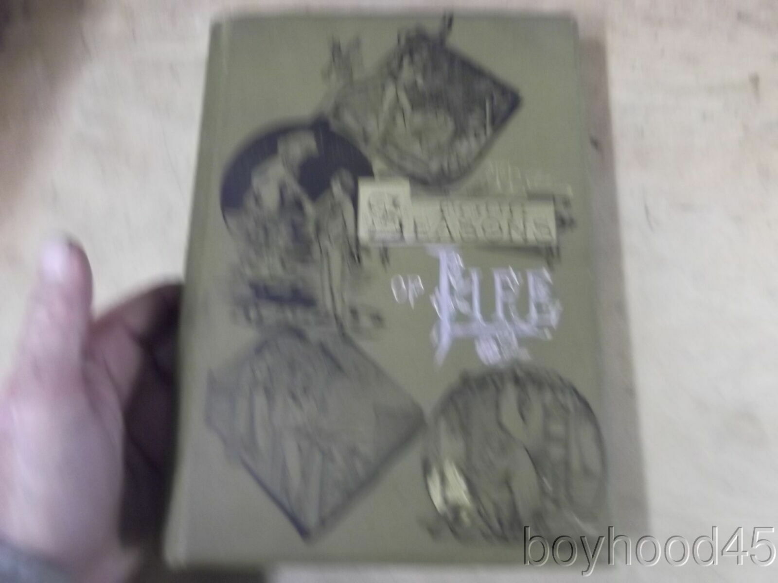 The Four Seasons of Life-SALESMAN’S SAMPLE-SPECTACULAR–1884