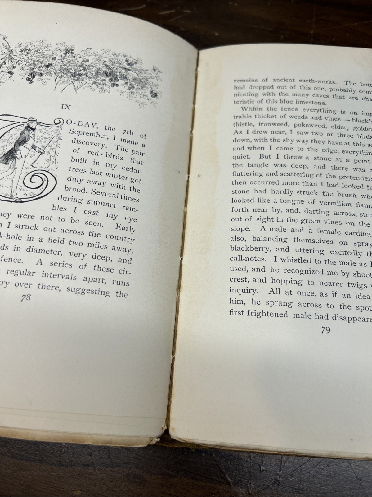 1900 Kentucky Cardinal Aftermath James Lane Allen Hugh Thomson Illustrated