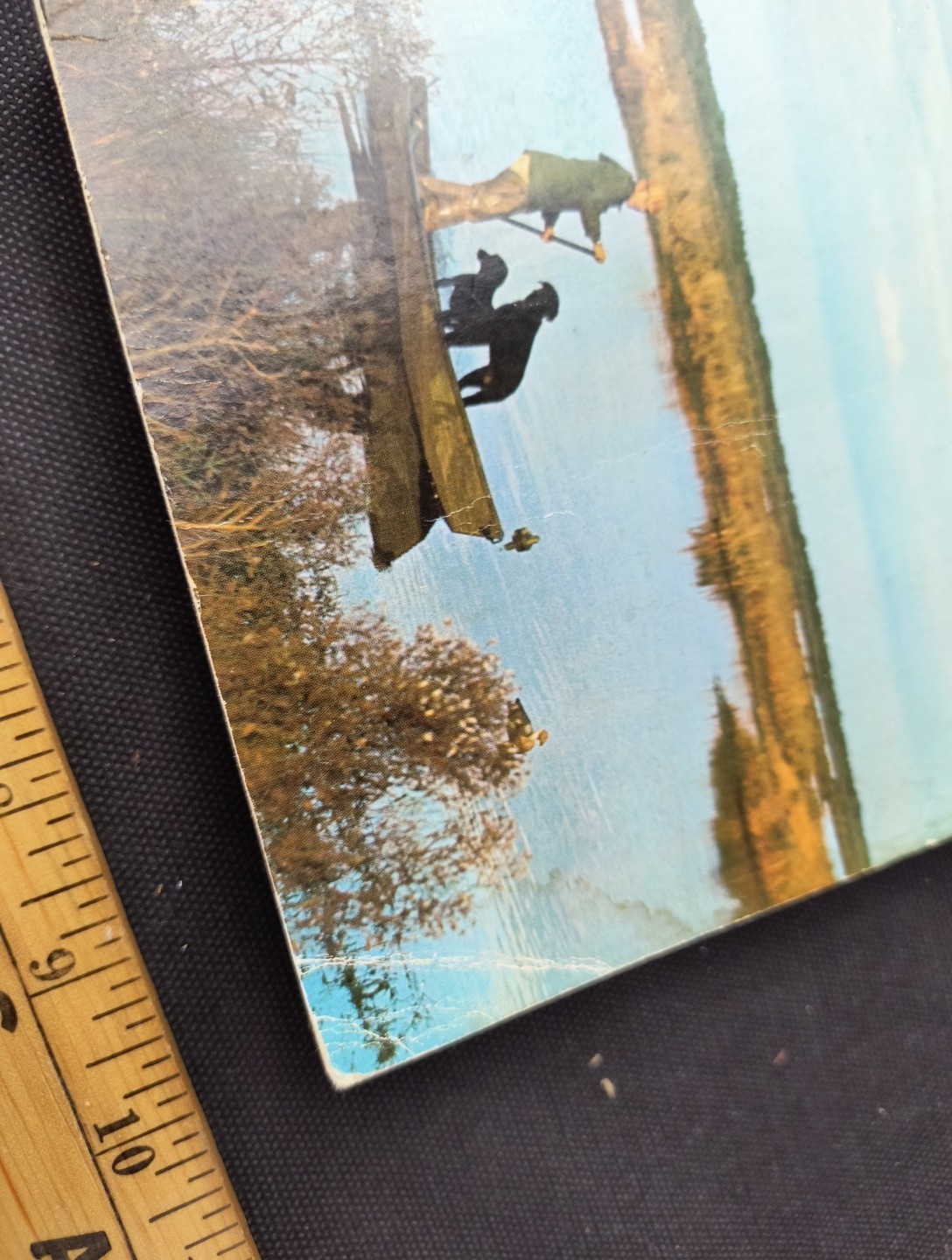 The Complete Wildfowler by Grits Gresham 1973 Sporting Book