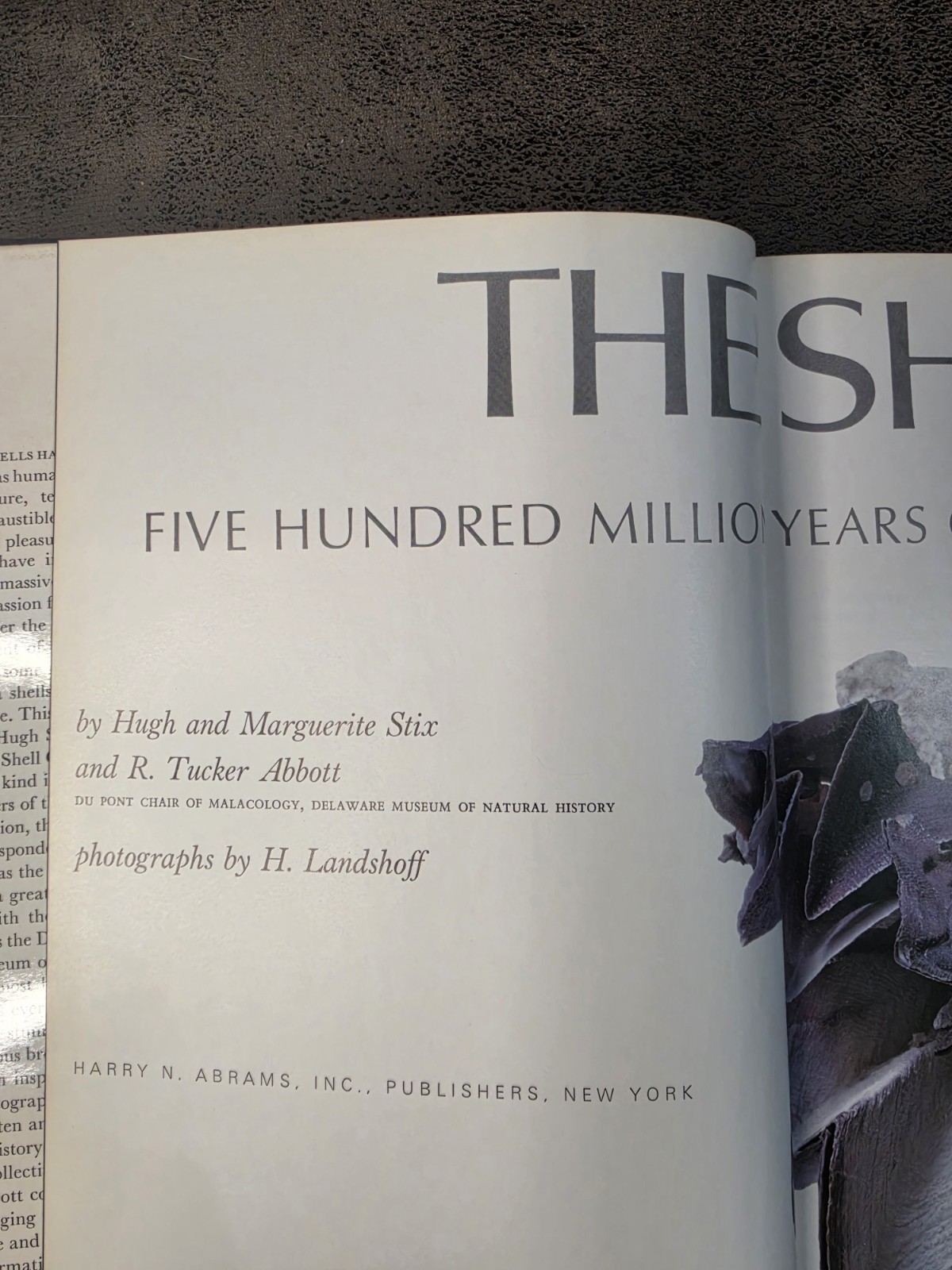 1973 The Shell Five Hundred Million Years of Inspired Design HC Abrams Shells