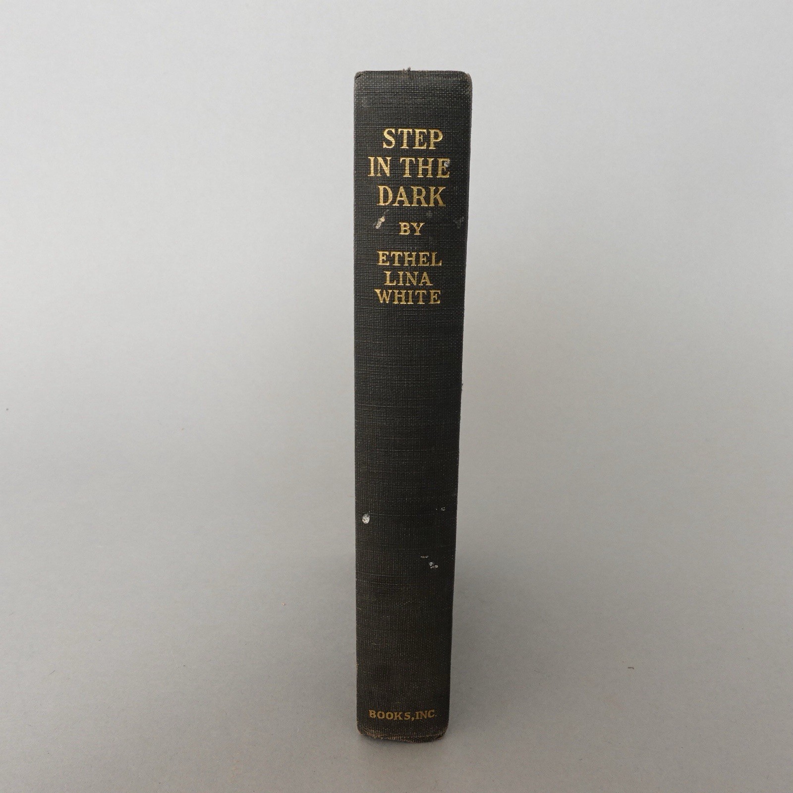 Step in the Dark by Ethel Lina White Hardcover First Edition 1946 Book