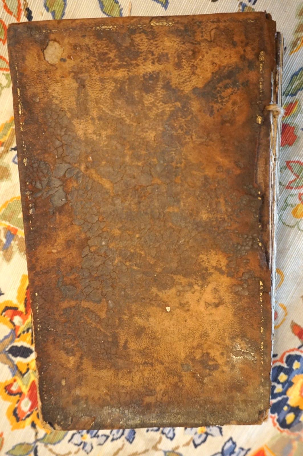 Lives Of The Apostles of Jesus 1836 1st ed New Haven CT David Francis Bacon