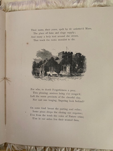 Gray’s Elergy written in A Country Churchyard-Thomas Gray 1884
