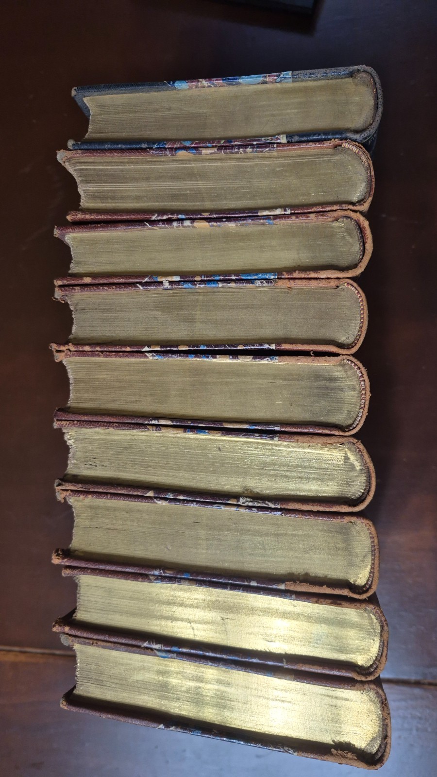 9 Antique Appleton 1899-1900 Science Philosophy Books Darwin Evolution Sociology