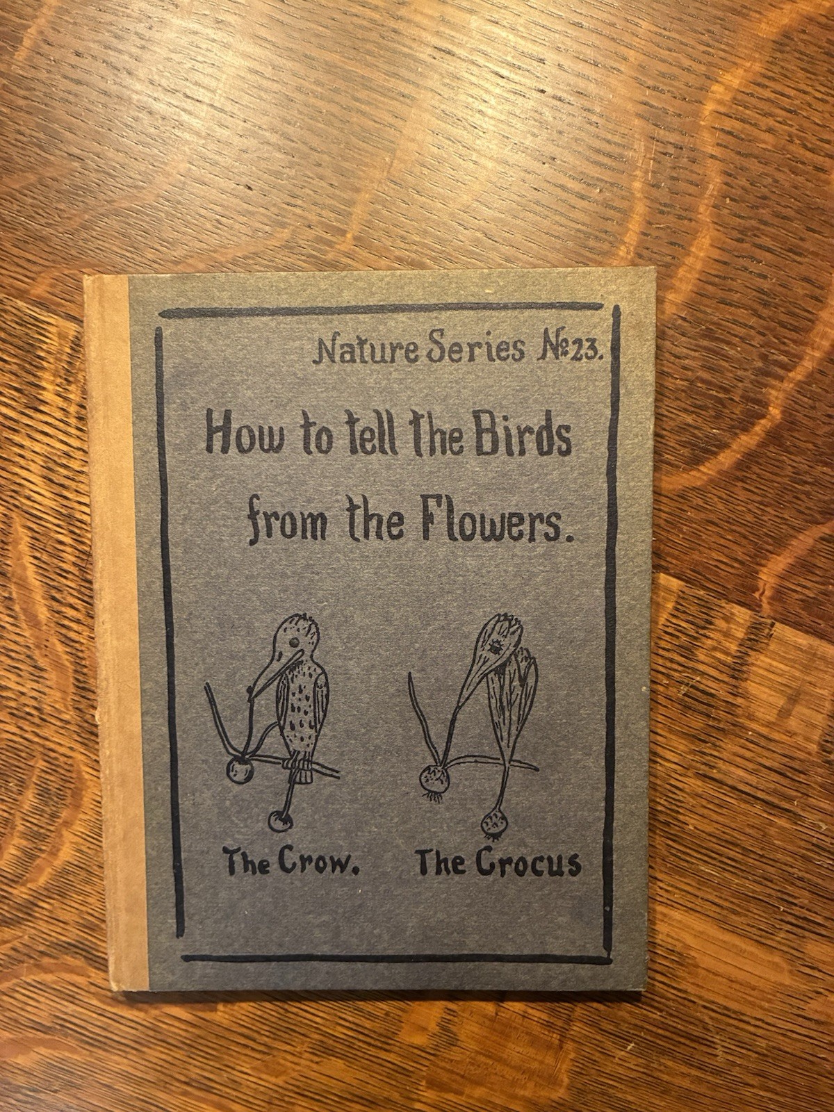 Robert Williams Wood How to Tell the Birds from the Flowers Illus HC 1907 1st ed