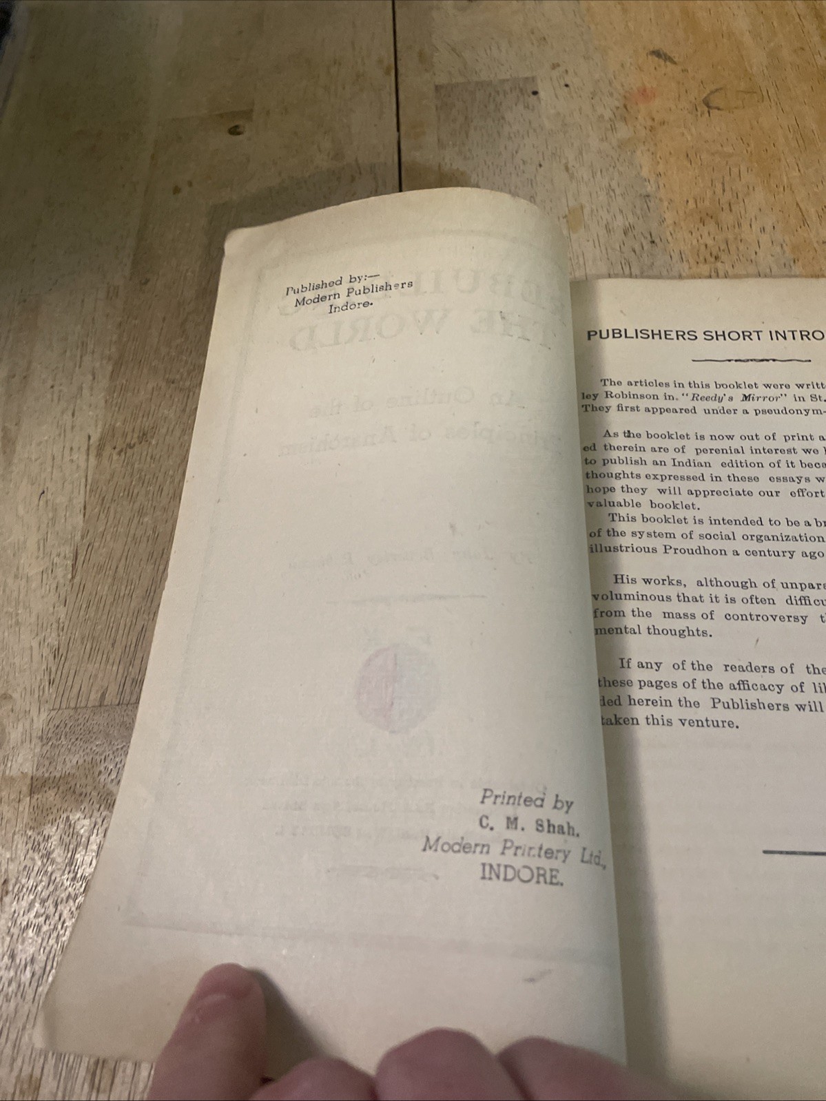 REBUILDING THE WORLD John Beverley Robinson VTG Pamphlet Anarchism HTF