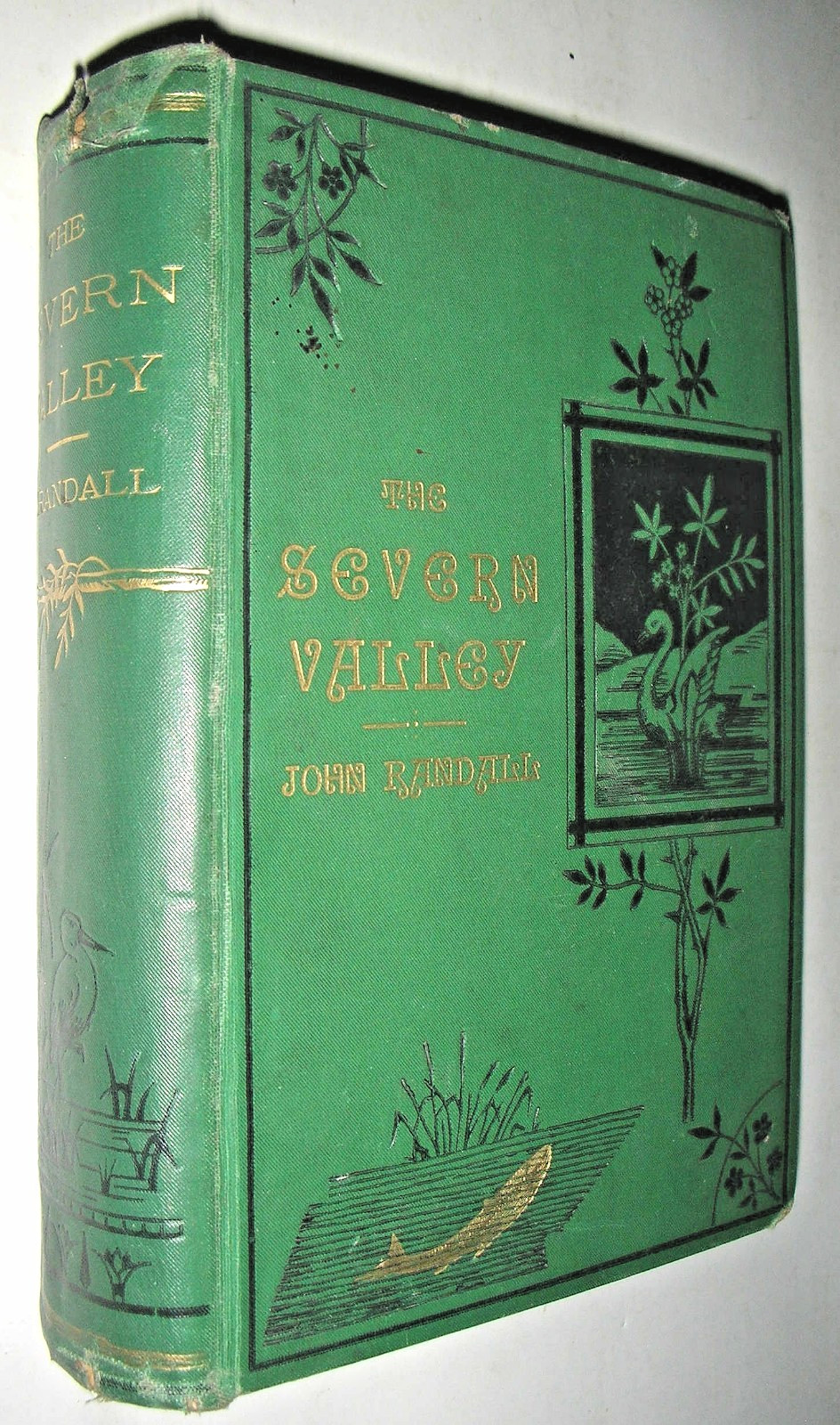 1882 Severn Valley: Topographical, Industrial & Geological Features, John Randal