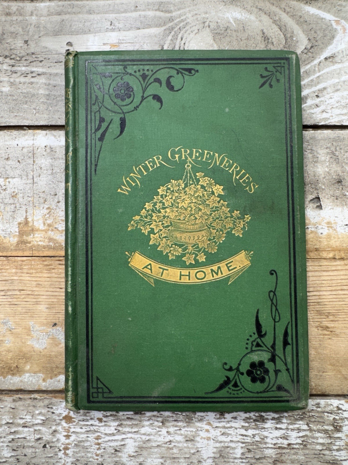 1878 Antique Home & Garden Book “Winter Greeneries at Home” Illustrated