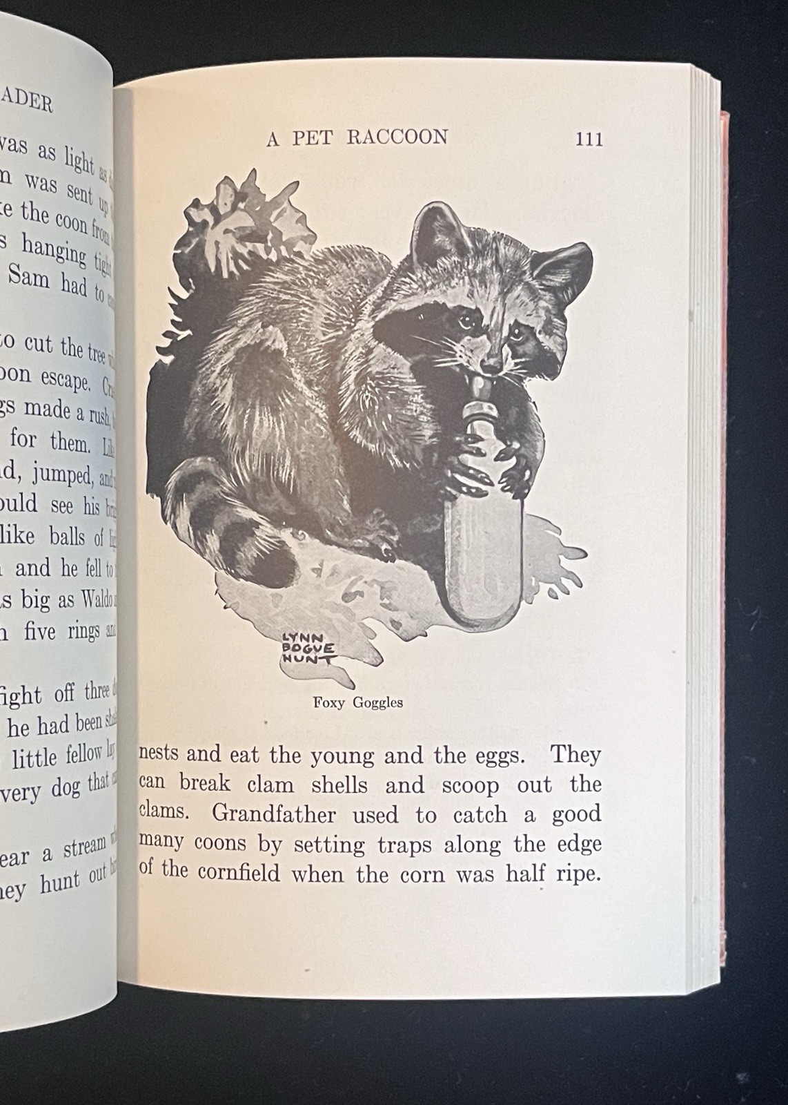 The Baby Animal Zoo: Book III Science Readers |1926