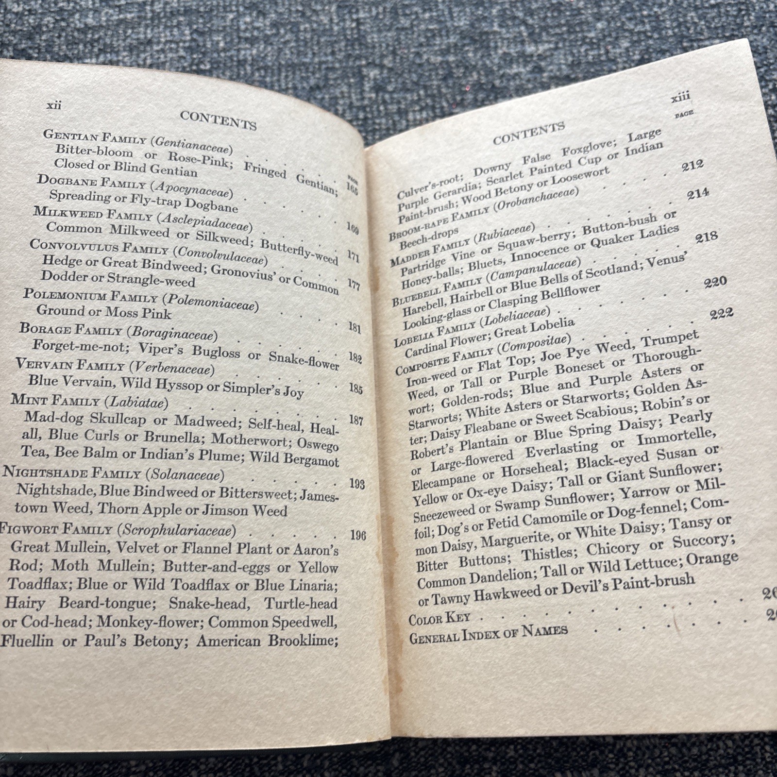 Little Nature Wild Flowers Worth Knowing 1ST Edition Neltje Blanchan 1922