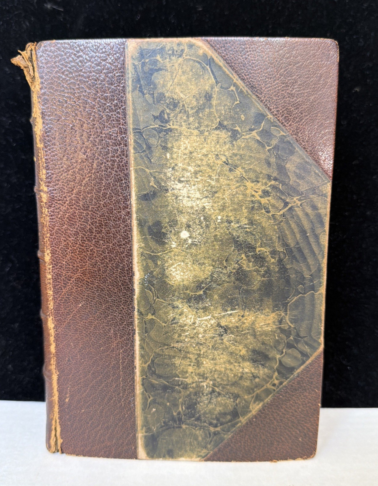 Antique Book The Works of Tennyson Poet Laureate 1901 Printing Half Leather