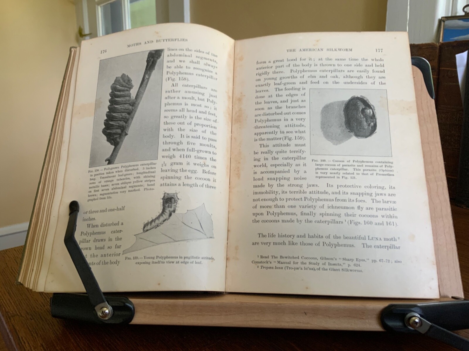 1901 Moths and Butterflies By Mary C. Dickerson – Illustrated