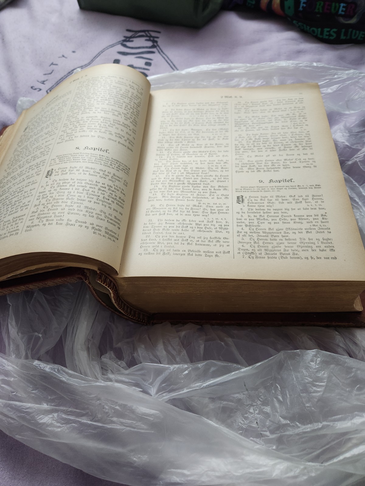 A. J. Holman & Co. 1890 Danish Leather Illustrated Bible Gustave Doré
