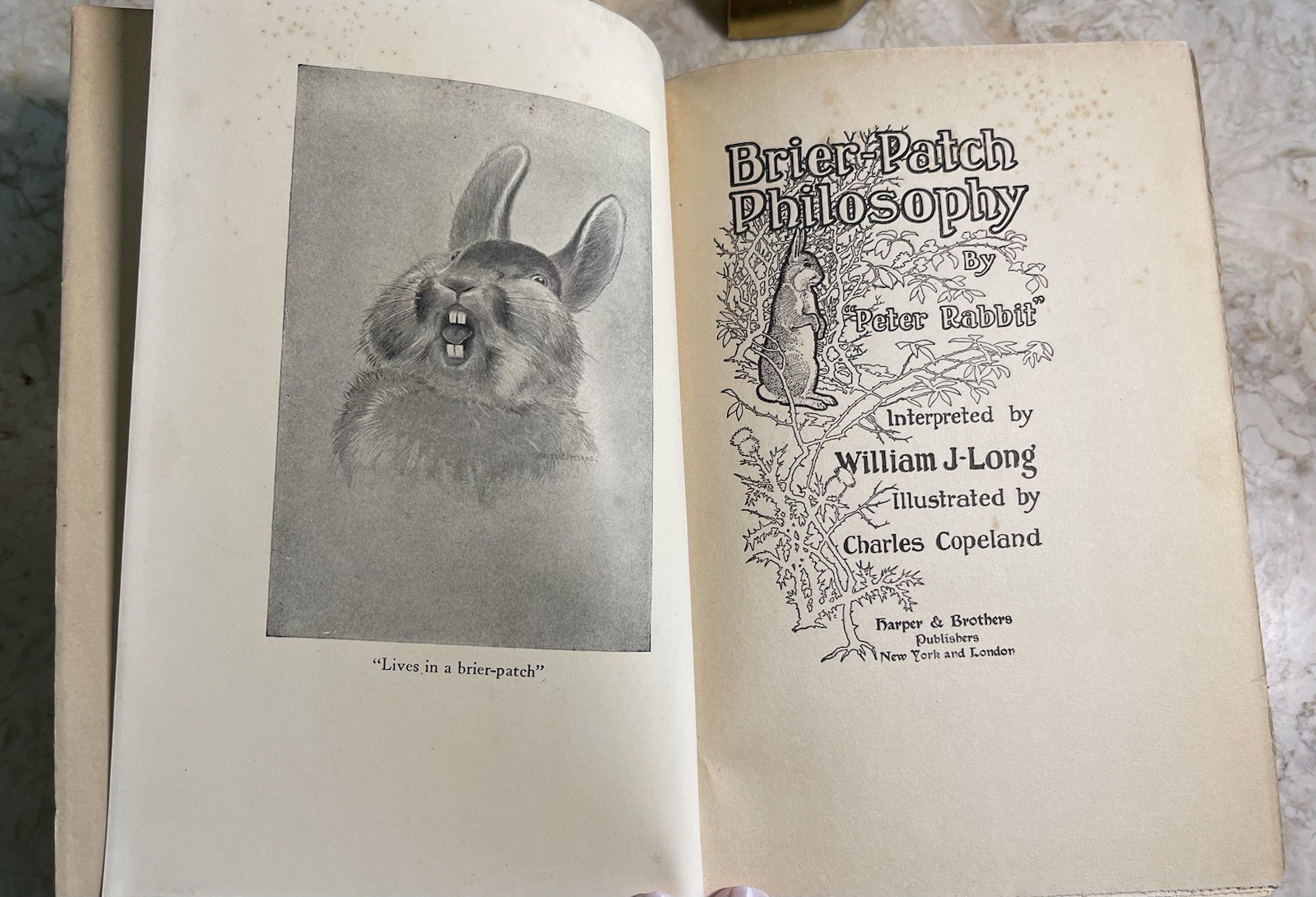 1906 Brier-Patch Philosophy Peter Rabbit William Long Illust. 1st Edition 296pg