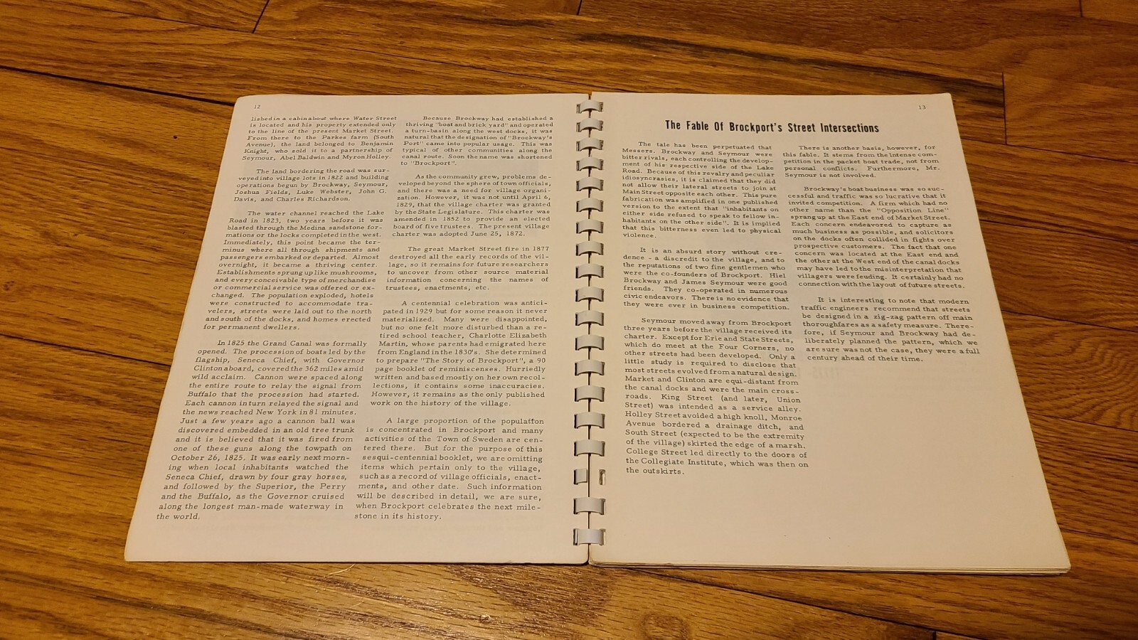 Town of Sweden Sesqui-Centennial Celebration Book 1964 Monroe County NY USA