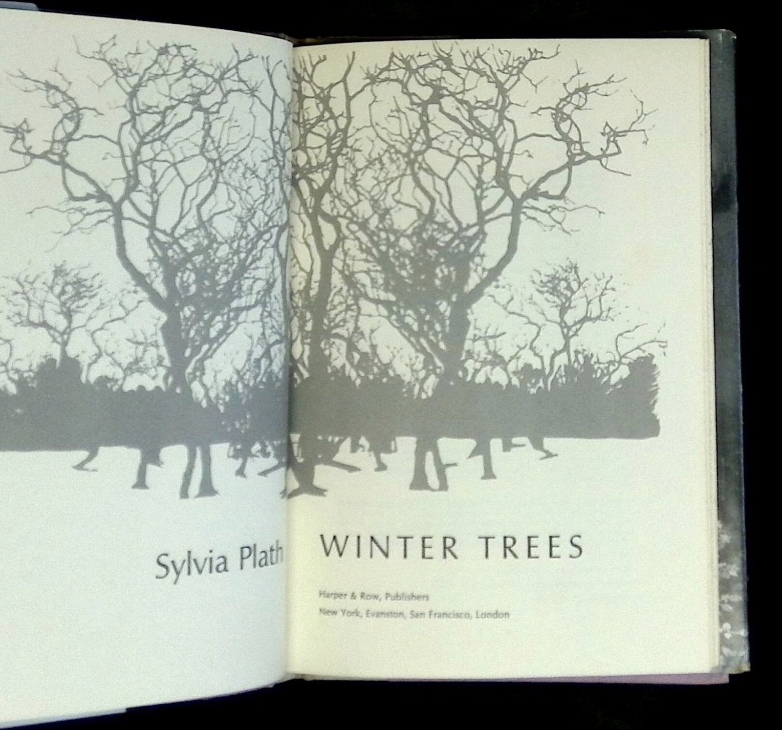 Sylvia Plath / Winter Trees 1st Edition 1972