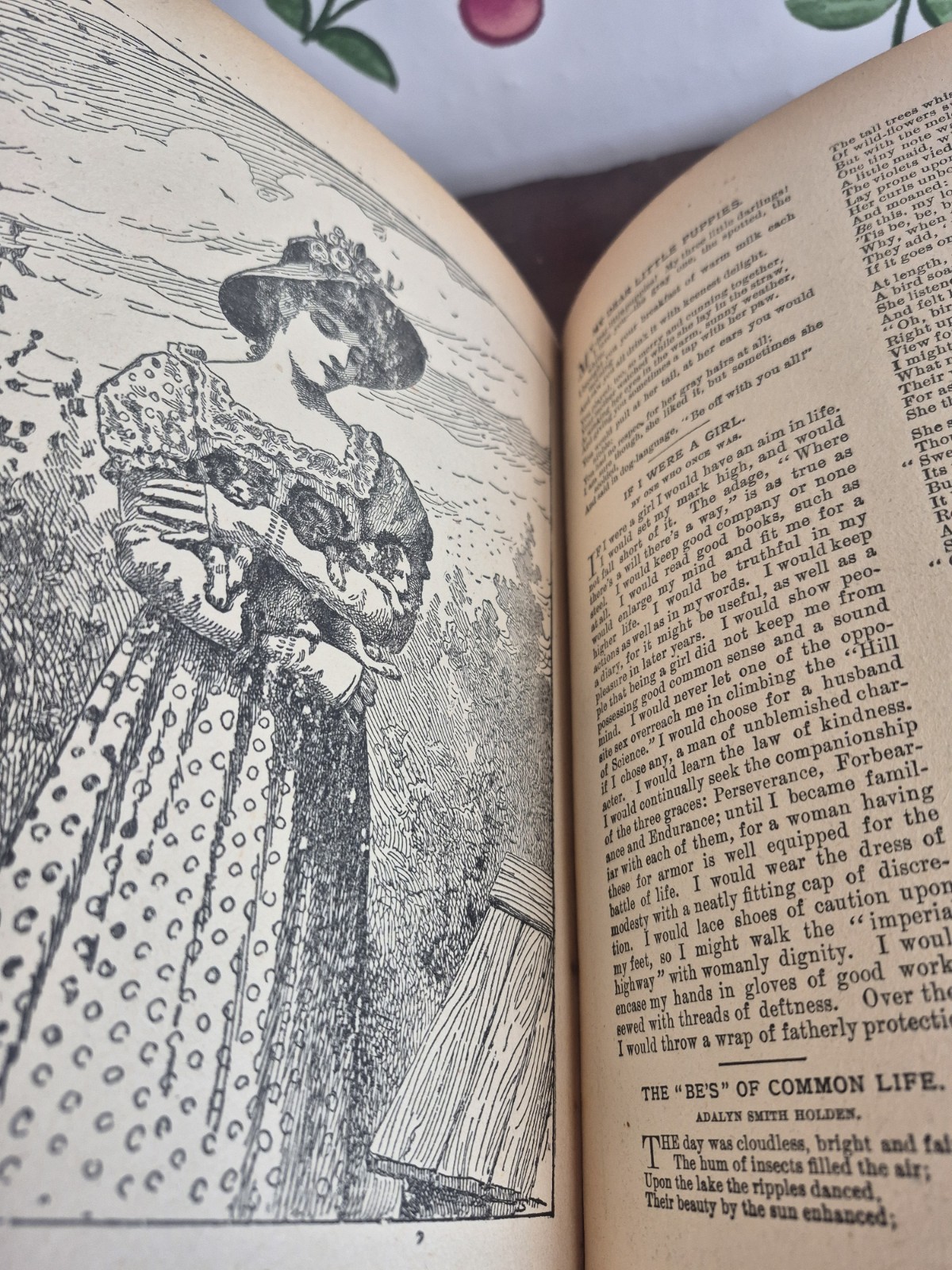 1899 Victorian Family Reader (Exceptional Illustrations) Outdoor Games WBConkey