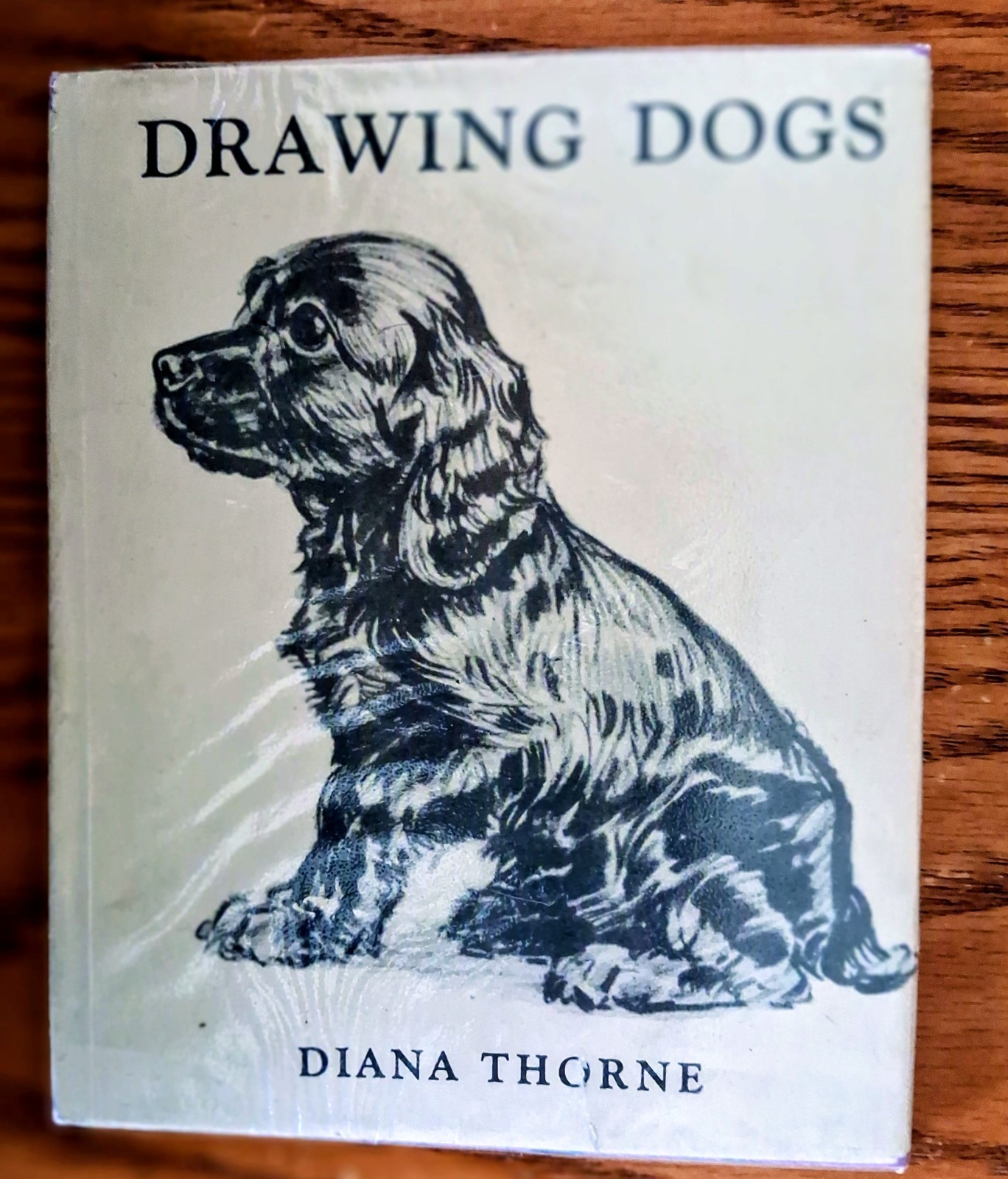 Drawing Dogs ,Diana Thorne ,The Studio :London & New York
