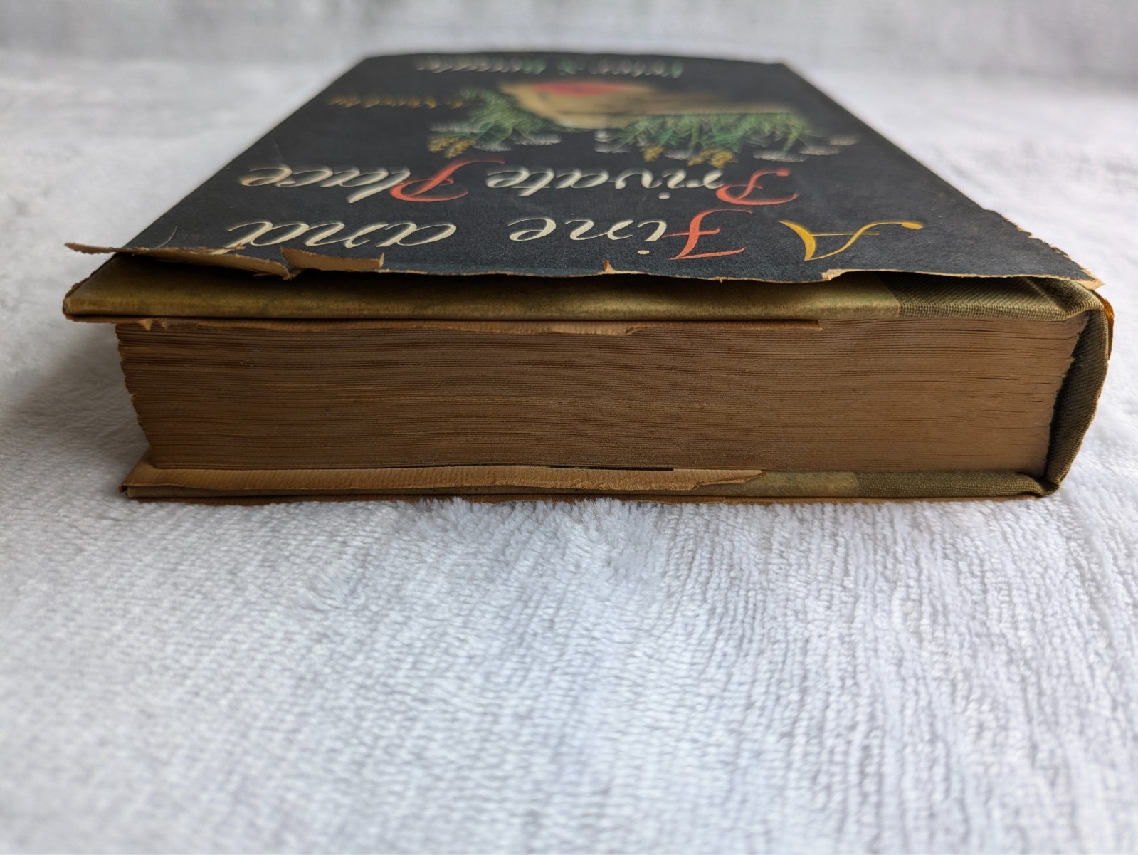 A Fine And Private Place Peter S. Beagle 1960 First Edition Hardcover Fantasy