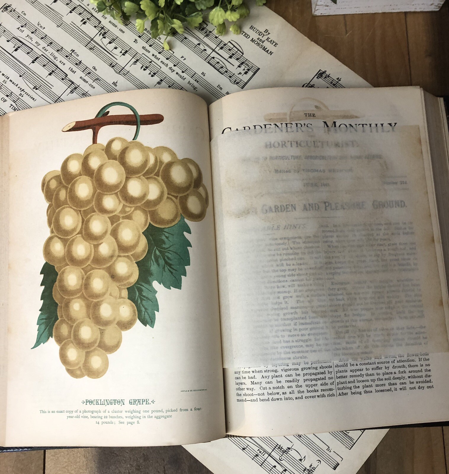 1880s Garden Book Half Leather Antique Illustrated Gardeners’ Monthly Victorian
