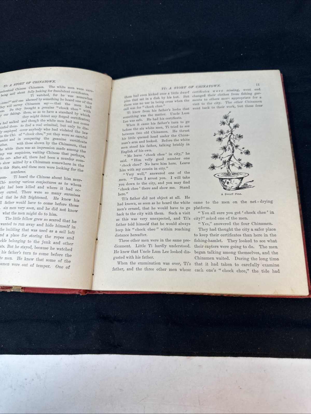 1889 Chinese American History – Ti A Story of San Francisco’s Chinatown, Bamford