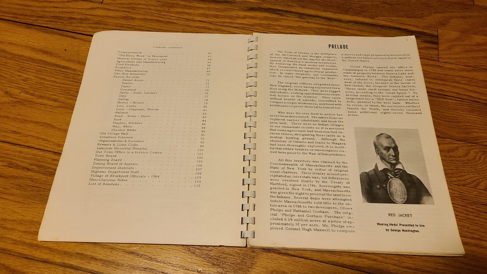 Town of Sweden Sesqui-Centennial Celebration Book 1964 Monroe County NY USA