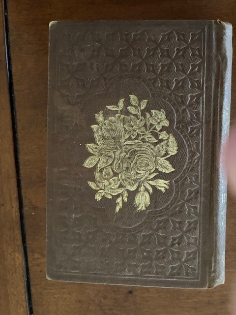 T.S. Arthur. What Can Woman Do? [1st edition-1856]