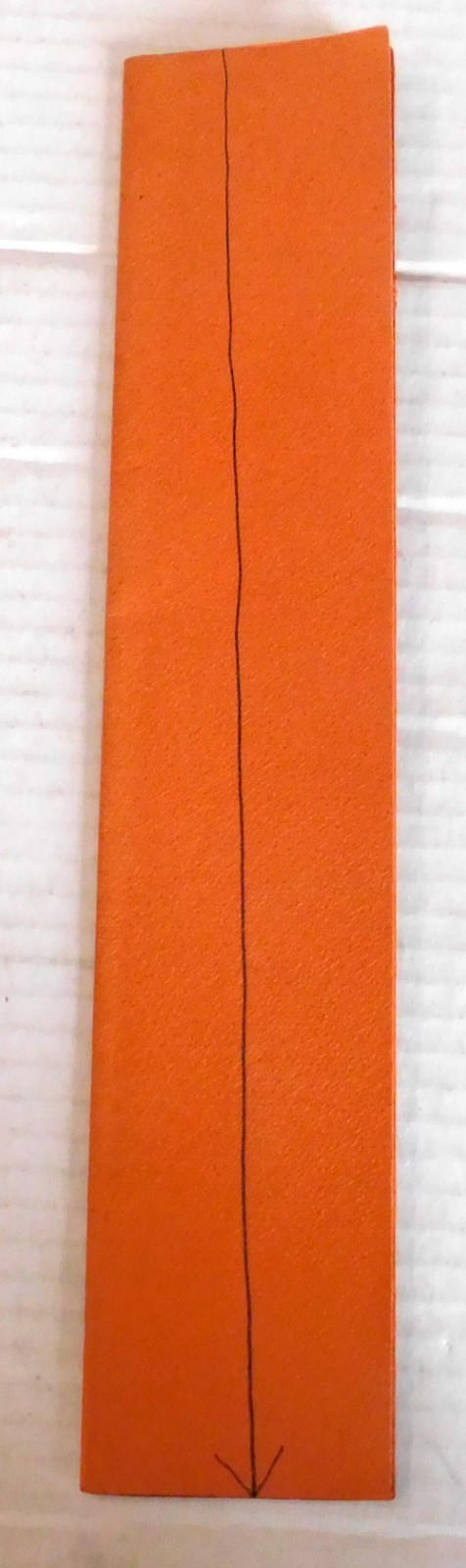 HOW DOES THE SUN’S RAY SEEK THE FLOWER? by ROBERT LAX w/ EMIL ANTONUCCI – RARE