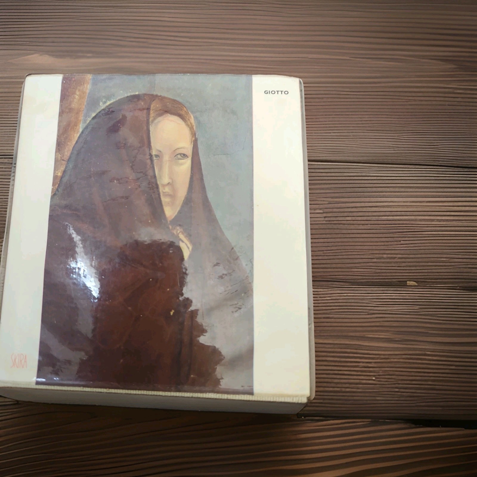 SKIRA Color Studio The Taste of Our Time Series Art Book GIOTTO