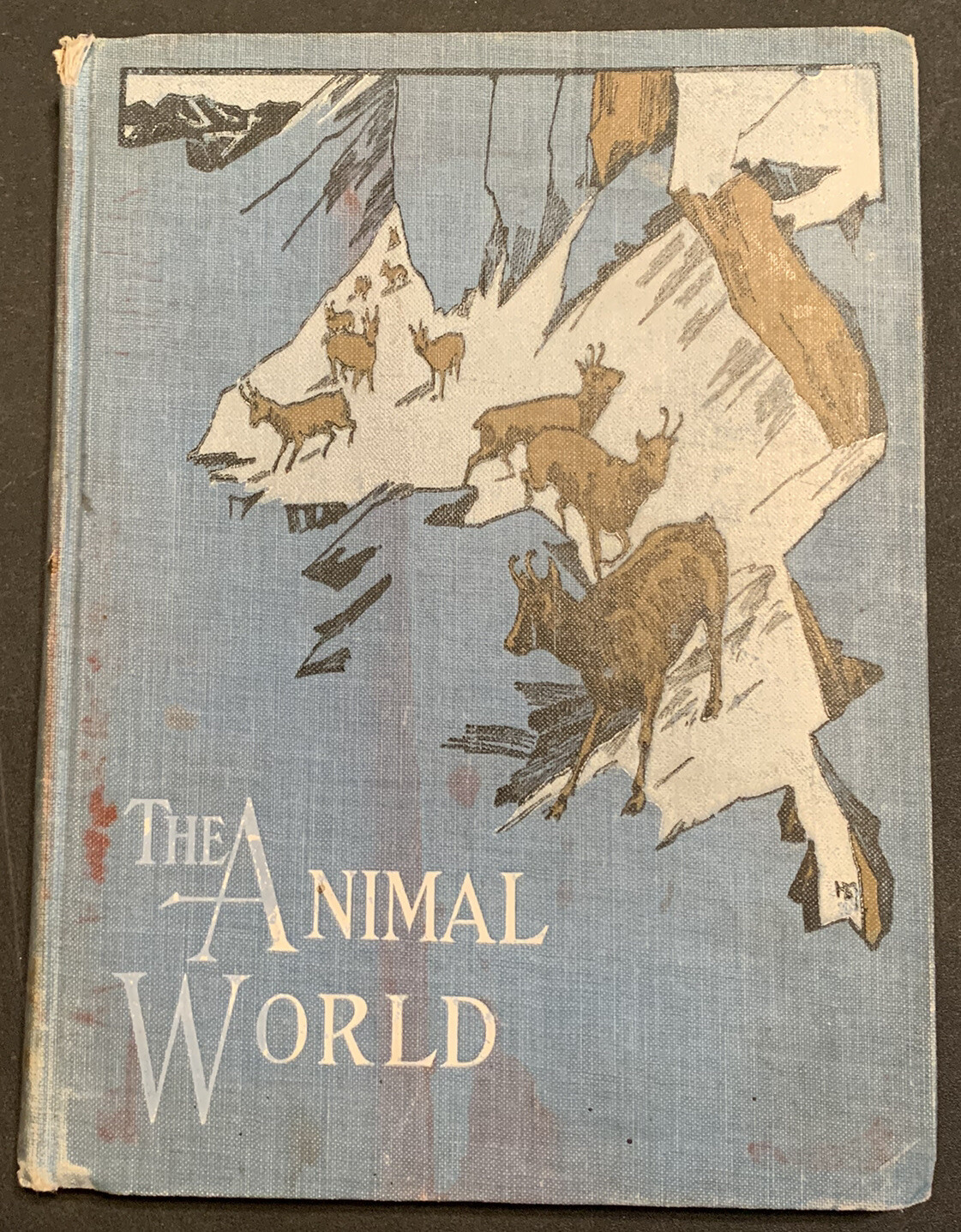 The Animal World Illustrated By Specht and Wolf McLoughlin Brothers New York