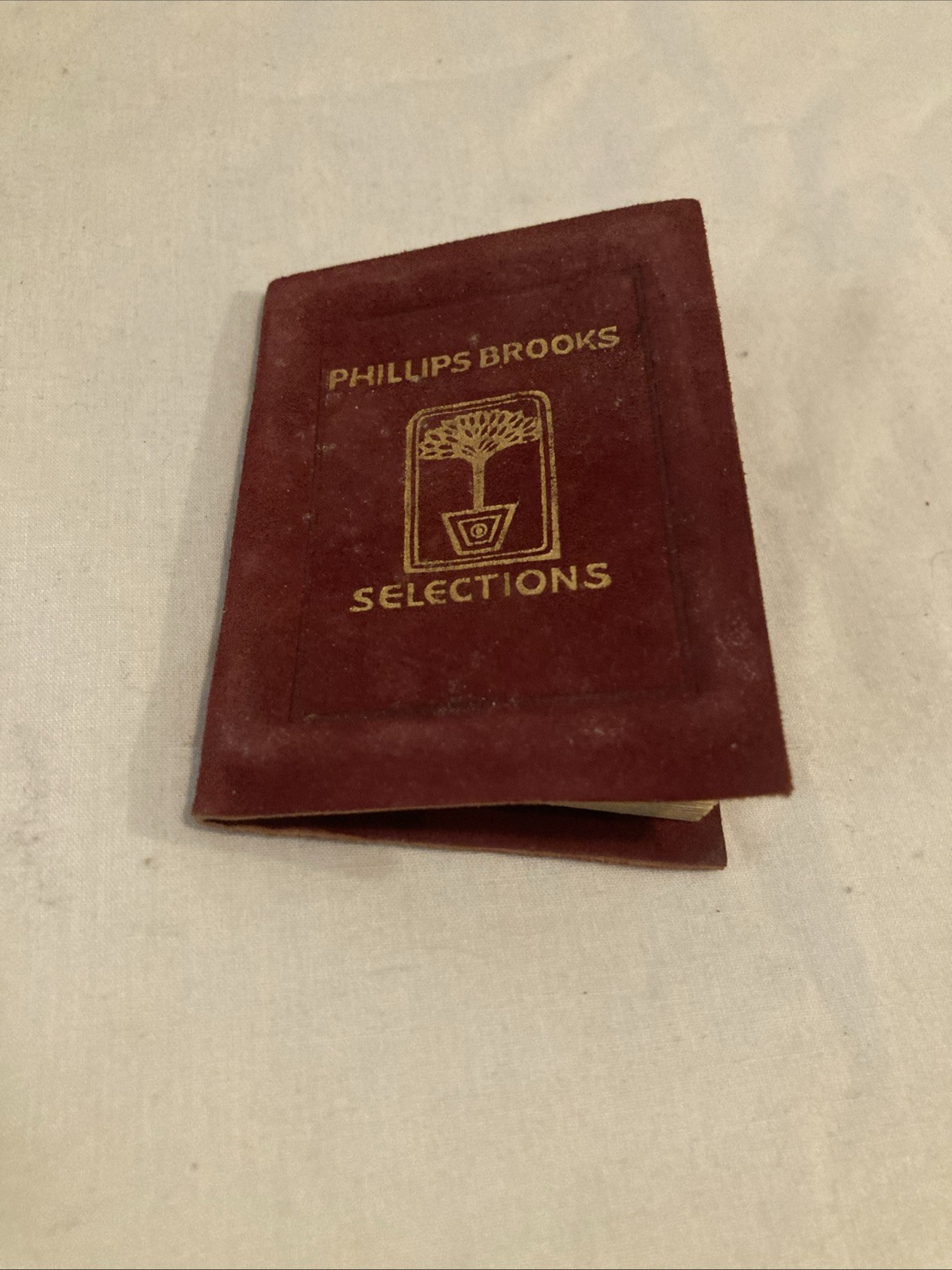 VINTAGE Phillips Brooks Selections Book Bound In Ooze Leather