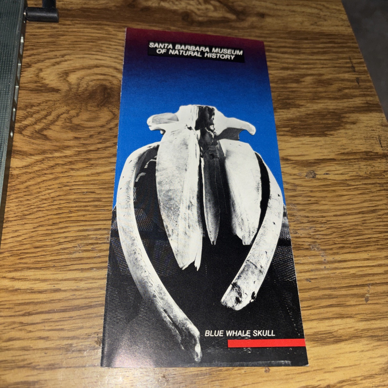 Santa Barbara Museum of Natural History Pamphlet Circa 1980s